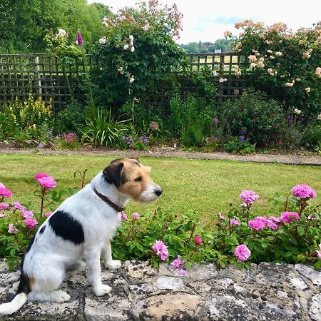 Rosemary Cottage Hooe Bagian luar foto