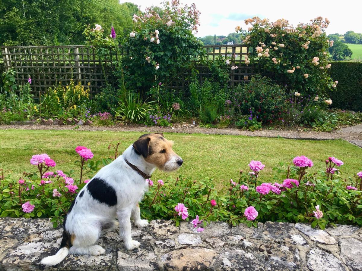 Rosemary Cottage Hooe Bagian luar foto